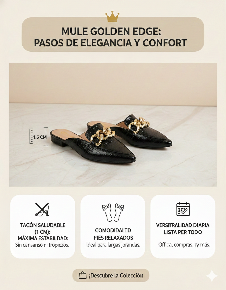 NEGRO CHAROL  🔥 Mejor precio desde 2 pares